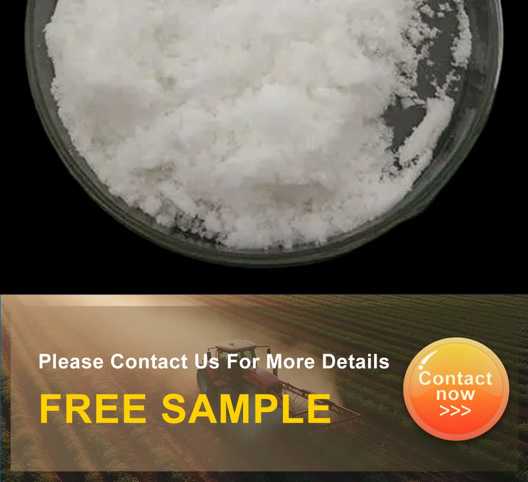 CAS 141-53-7 Hcoona Chemicals Organic Salt Sodium Formate