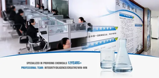 92% 95% 97% 98% Formic Acid Sodium Salt Sodium Formate for Leather 